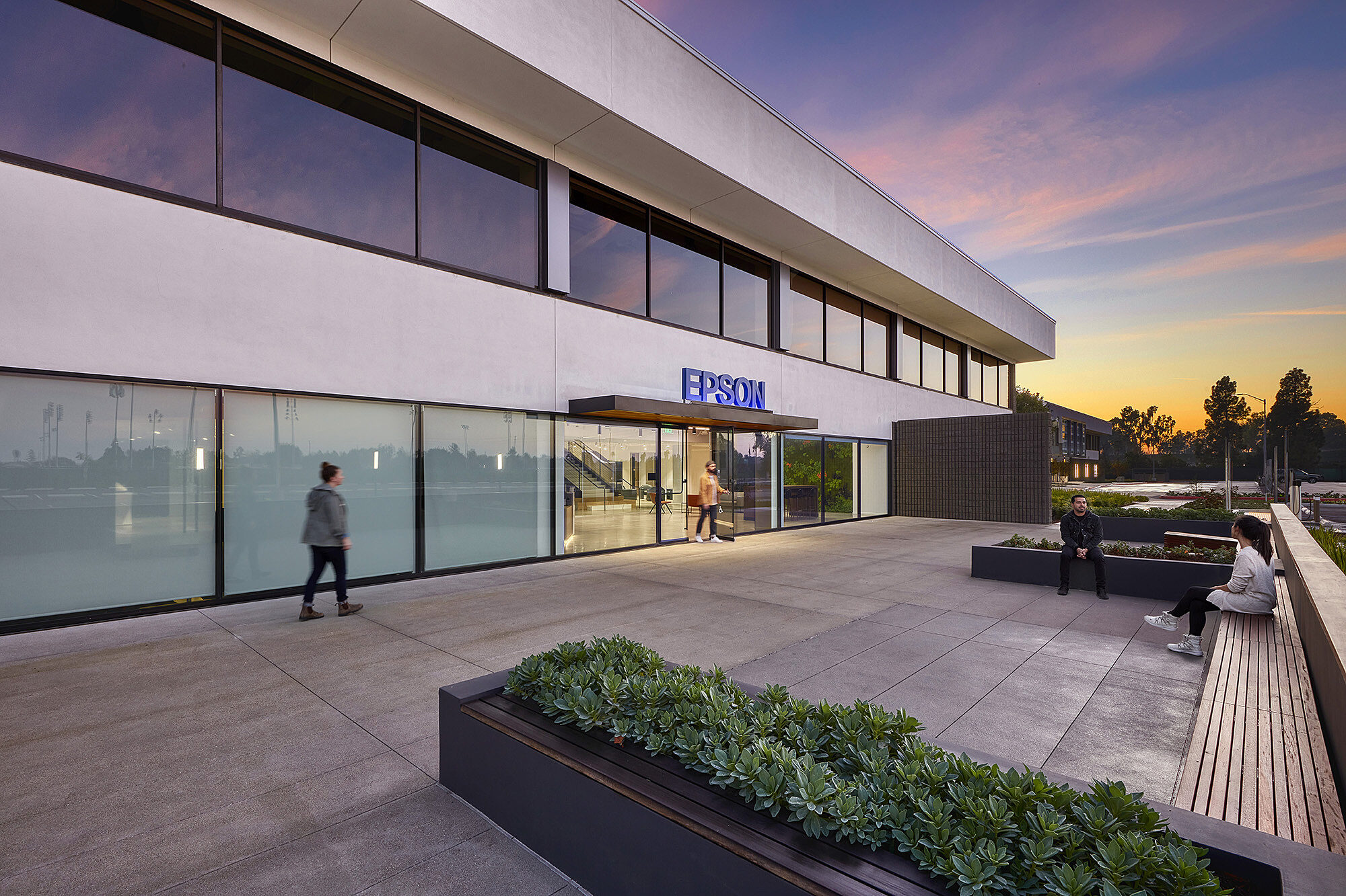 Wolcott Epson7279 web