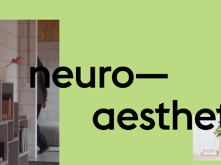 Neuroaesthetics
